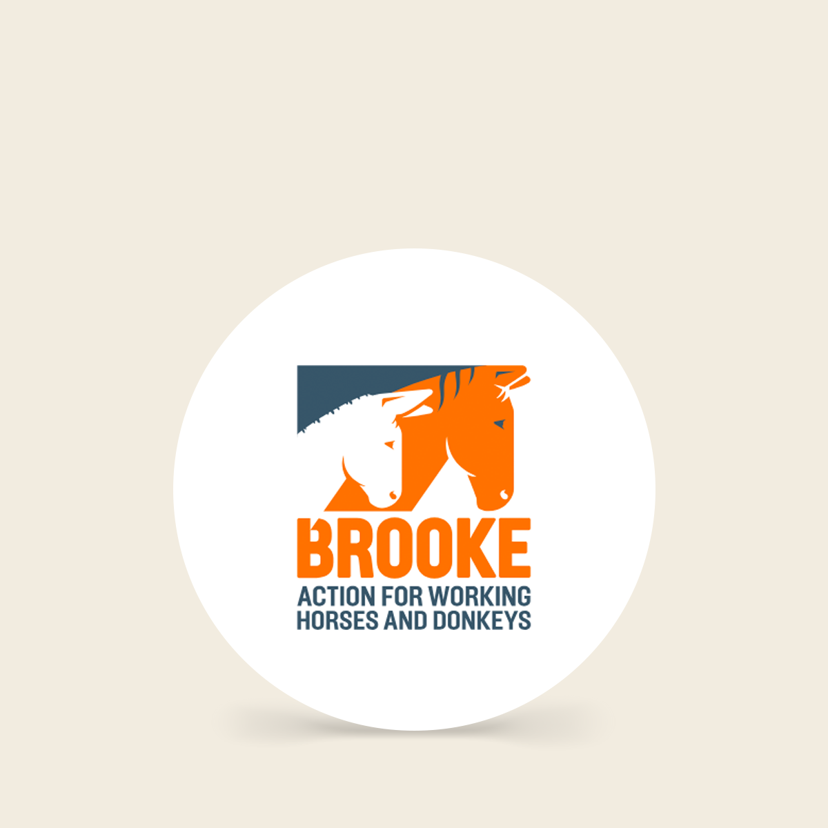 Brooke TEST