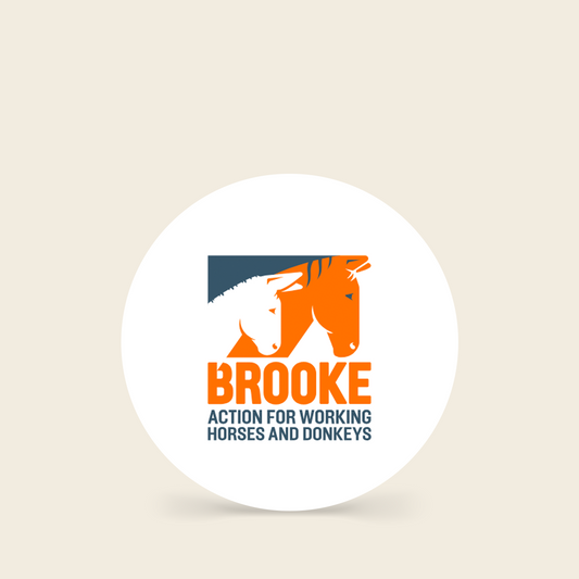Brooke TEST